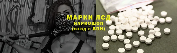 СК Михайловск