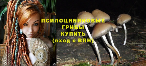 дживик Михайлов