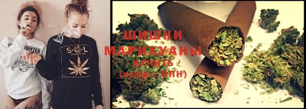СК Михайловск