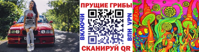 Псилоцибиновые грибы Psilocybe  Усмань 